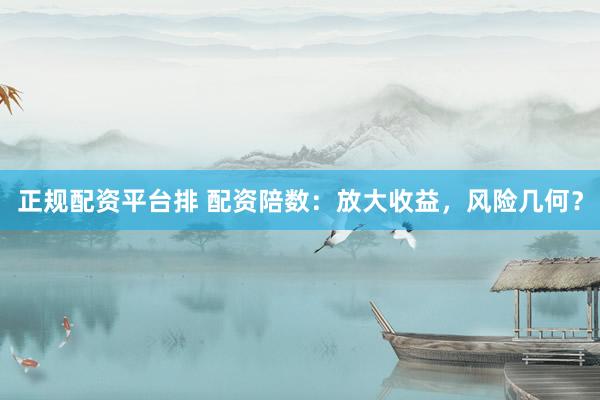 正规配资平台排 配资陪数：放大收益，风险几何？