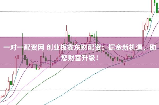 一对一配资网 创业板鑫东财配资：掘金新机遇，助您财富升级！