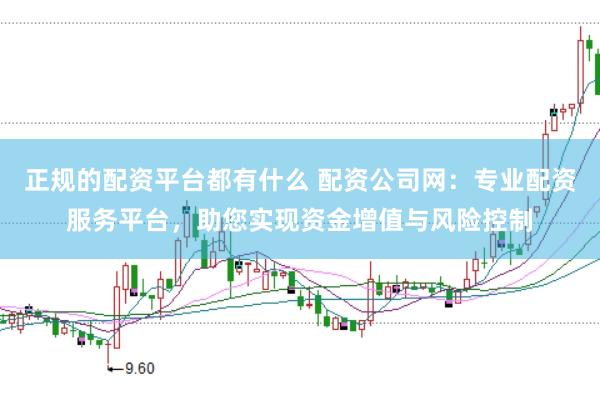 正规的配资平台都有什么 配资公司网：专业配资服务平台，助您实现资金增值与风险控制