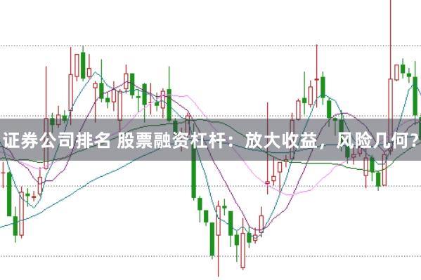 证券公司排名 股票融资杠杆：放大收益，风险几何？