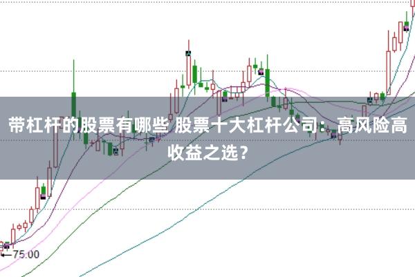 带杠杆的股票有哪些 股票十大杠杆公司：高风险高收益之选？