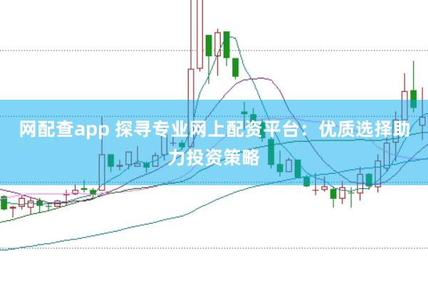 网配查app 探寻专业网上配资平台：优质选择助力投资策略