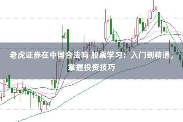 老虎证券在中国合法吗 股票学习：入门到精通，掌握投资技巧