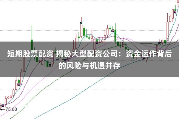 短期股票配资 揭秘大型配资公司：资金运作背后的风险与机遇并存