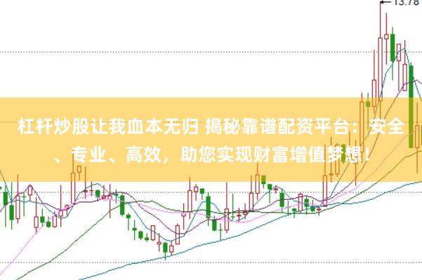 杠杆炒股让我血本无归 揭秘靠谱配资平台：安全、专业、高效，助您实现财富增值梦想！