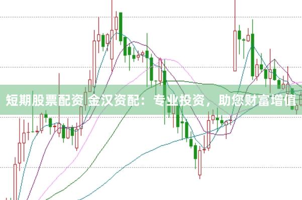 短期股票配资 金汉资配：专业投资，助您财富增值