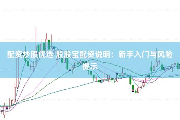 配资炒股优选 股股宝配资说明：新手入门与风险提示