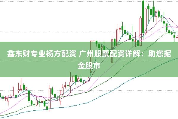 鑫东财专业杨方配资 广州股票配资详解：助您掘金股市