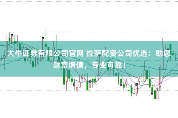 大牛证券有限公司官网 拉萨配资公司优选：助您财富增值，专业可靠！