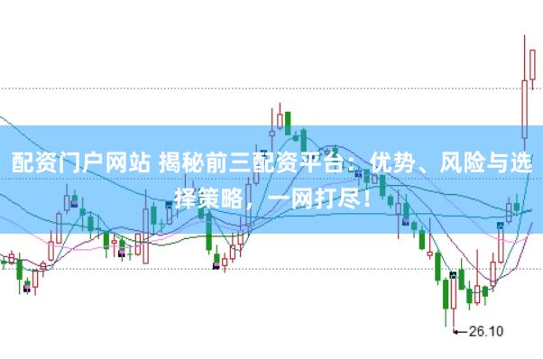 配资门户网站 揭秘前三配资平台：优势、风险与选择策略，一网打尽！