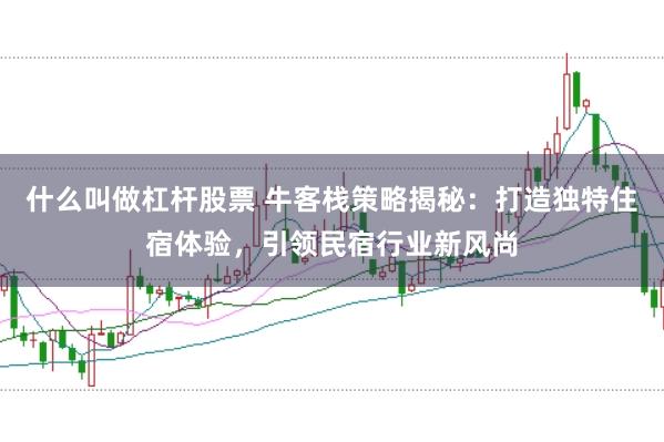什么叫做杠杆股票 牛客栈策略揭秘：打造独特住宿体验，引领民宿行业新风尚