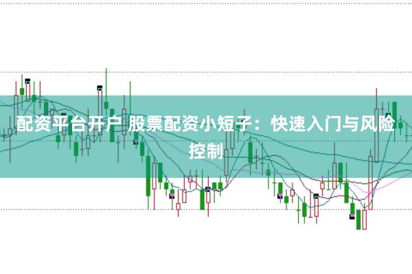 配资平台开户 股票配资小短子：快速入门与风险控制