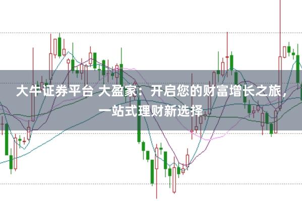 大牛证券平台 大盈家：开启您的财富增长之旅，一站式理财新选择