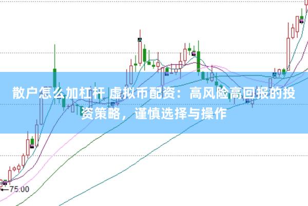散户怎么加杠杆 虚拟币配资：高风险高回报的投资策略，谨慎选择与操作