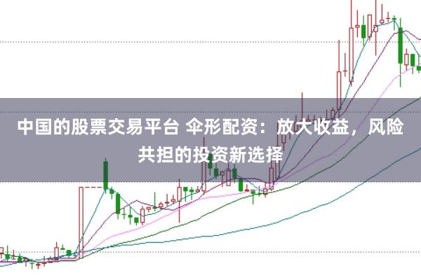 中国的股票交易平台 伞形配资：放大收益，风险共担的投资新选择