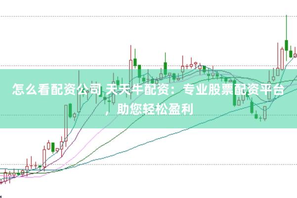 怎么看配资公司 天天牛配资：专业股票配资平台，助您轻松盈利