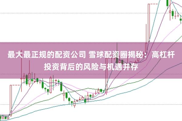 最大最正规的配资公司 雪球配资圈揭秘：高杠杆投资背后的风险与机遇并存
