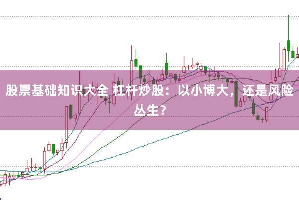 股票基础知识大全 杠杆炒股：以小博大，还是风险丛生？