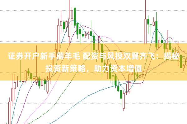 证券开户新手薅羊毛 配资与风投双翼齐飞：揭秘投资新策略，助力资本增值