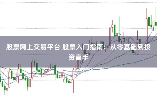 股票网上交易平台 股票入门指南：从零基础到投资高手