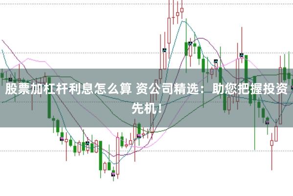 股票加杠杆利息怎么算 资公司精选：助您把握投资先机！