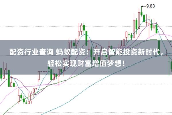配资行业查询 蚂蚁配资：开启智能投资新时代，轻松实现财富增值梦想！