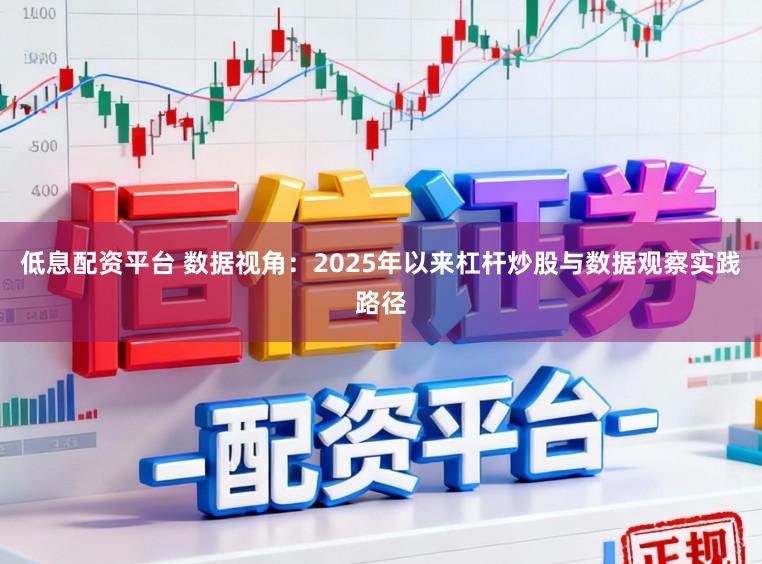 低息配资平台 数据视角：2025年以来杠杆炒股与数据观察实践路径