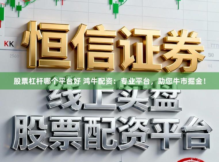 股票杠杆哪个平台好 鸿牛配资：专业平台，助您牛市掘金！